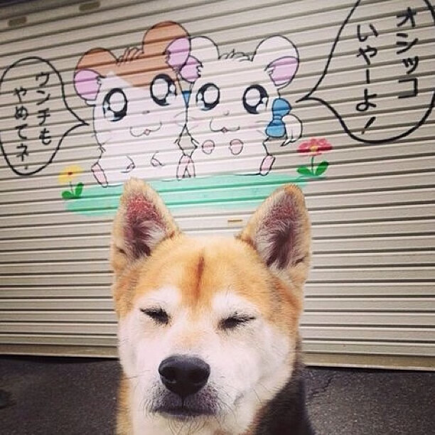 意甲战术演变，注重控球与防守结合，意甲战术强在哪里