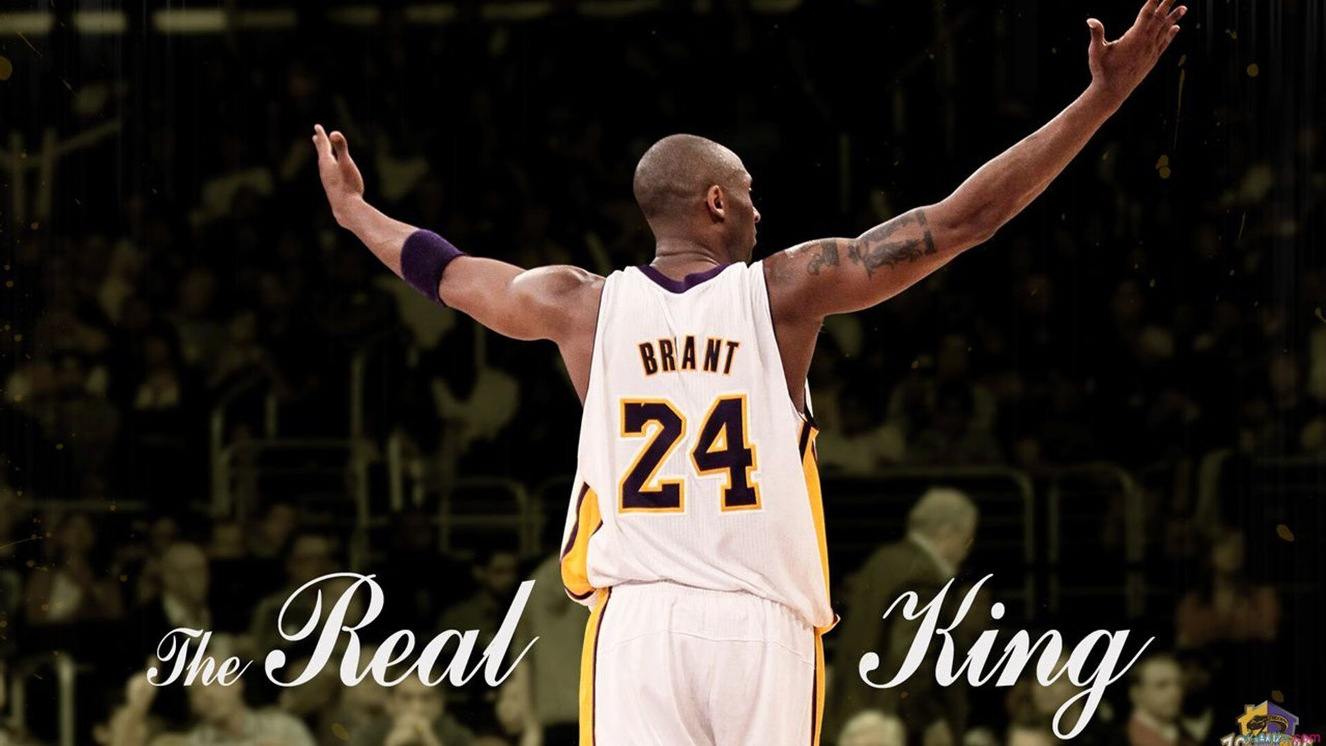 九游娱乐官网 (jiuyou)-澳大利亚加强橄榄球基础设施建设，澳大利亚国家橄榄球联赛