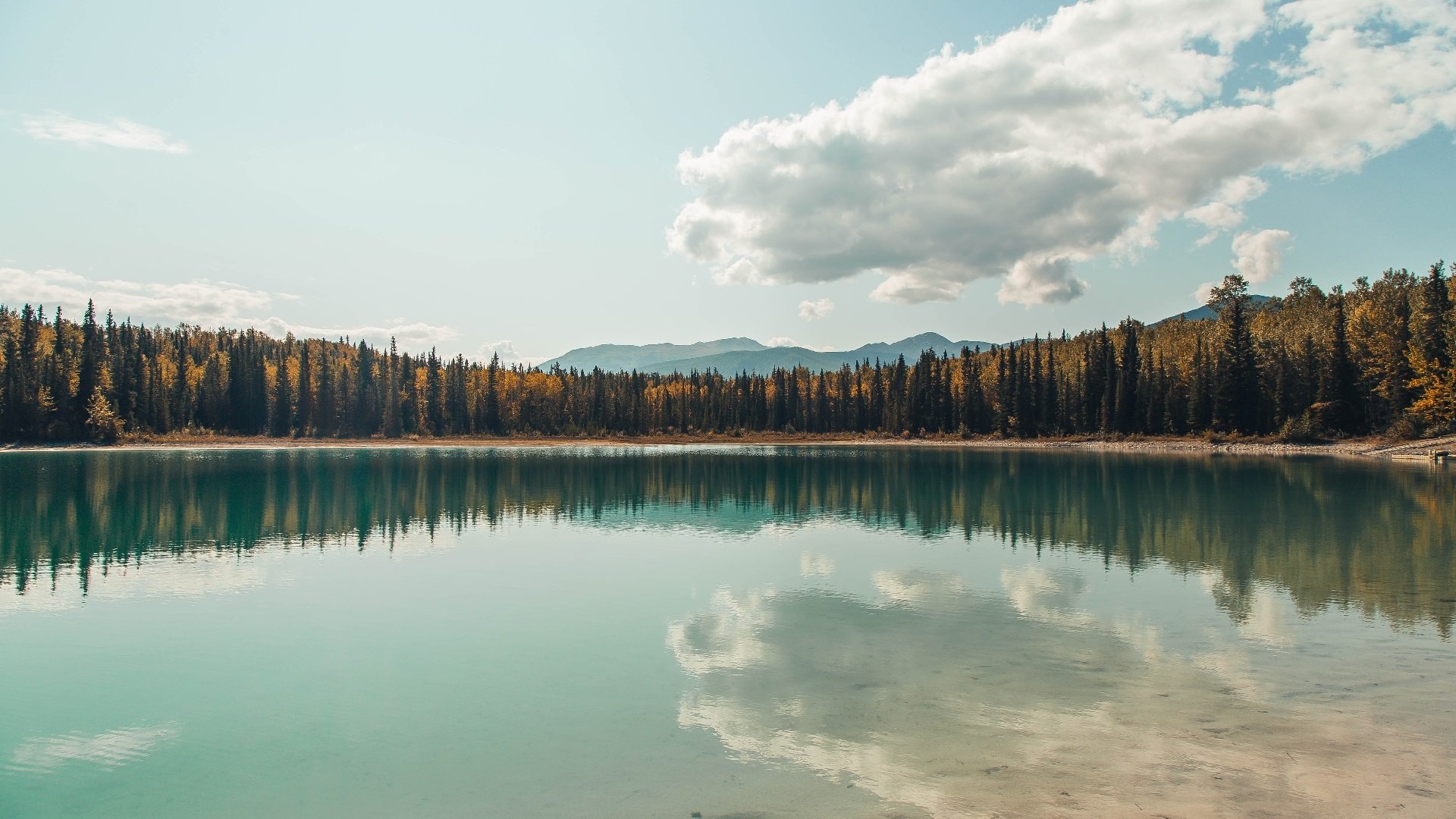 九游网-哈兰德火力爆棚，英超连续22场破门再创新高，哈兰德最新转会